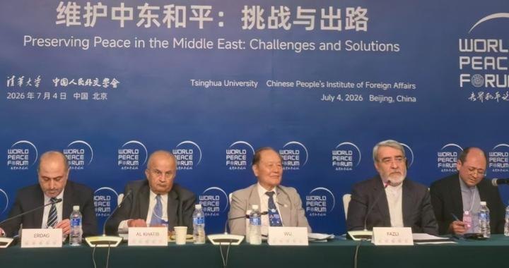 世界和平论坛丨新安全机制、霍尔木兹海峡、两国方案：中东持久和平的关键在哪里